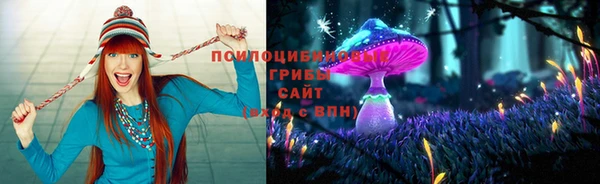 крисы Богданович