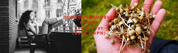 герыч Сафоново