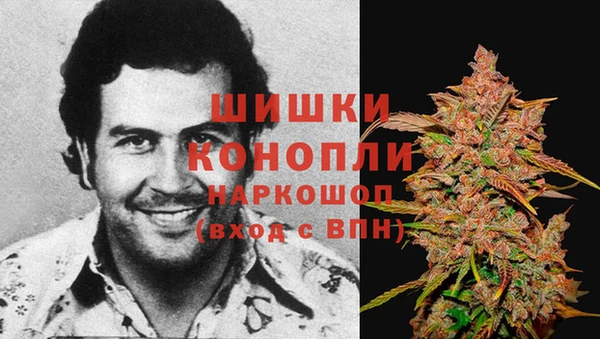 крисы Богданович