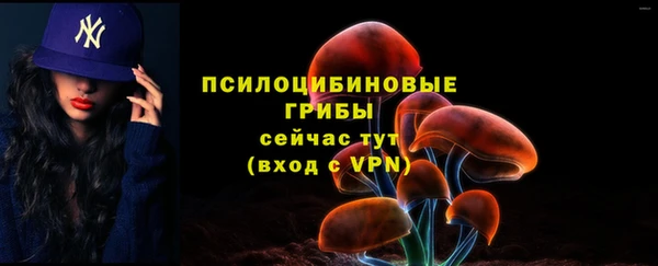 метамфетамин Белокуриха