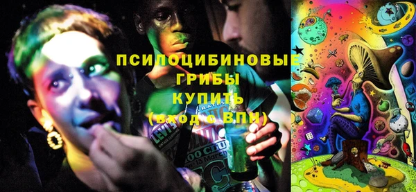 крисы Богданович