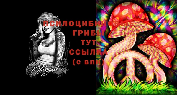 мдпв Богородицк