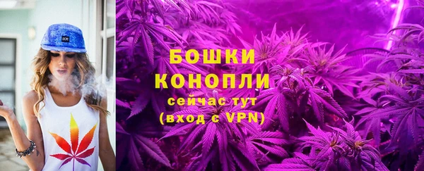 Альфа ПВП Богородск
