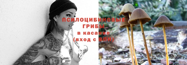 герыч Сафоново